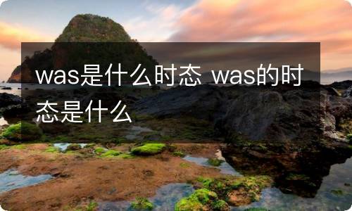 was是什么时态 was的时态是什么